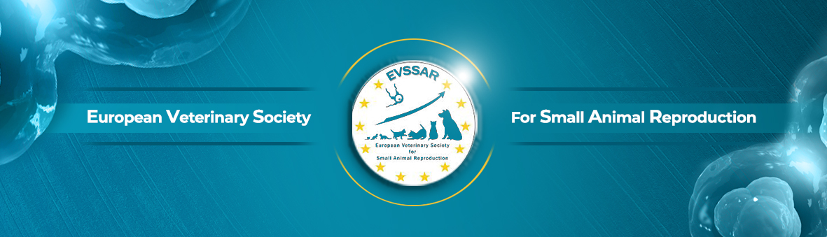 EVSSAR Logo